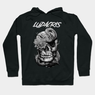 LUDACRIS RAPPER MUSIC Hoodie